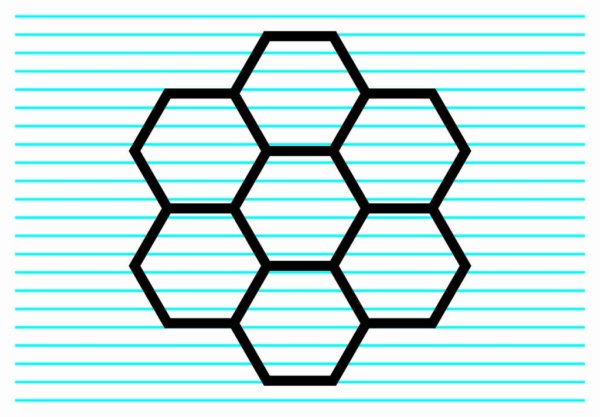 Соты рисунок