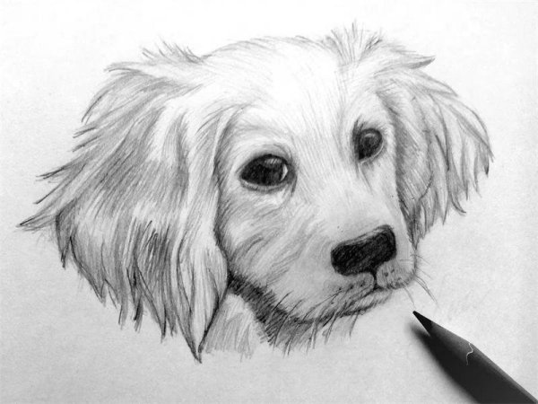 Рисунки карандашом