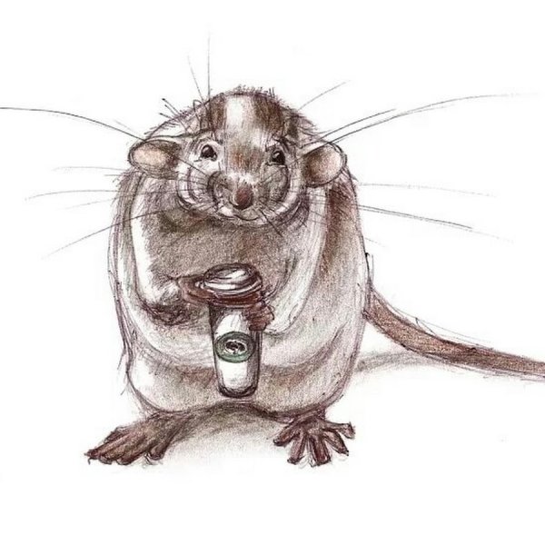 Зарисовки мышей