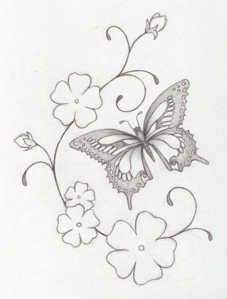 Тату бабочка на цветке