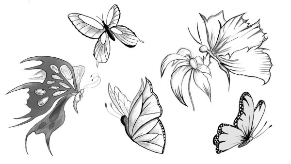 Цветы и бабочки. Раскраска