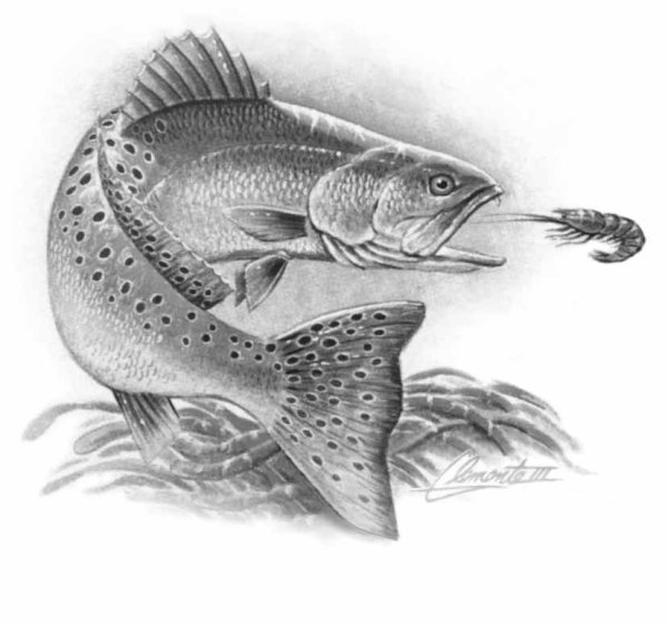 Рыбалка карандашом