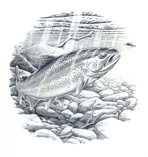 Рыбацкие зарисовки