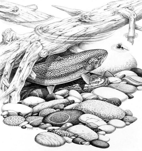 Выжигание по дереву рыбалка