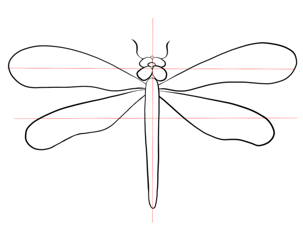 Стрекоза для срисовки