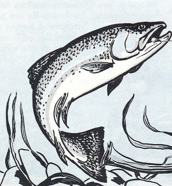 Трафарет для выжигания рыбалка