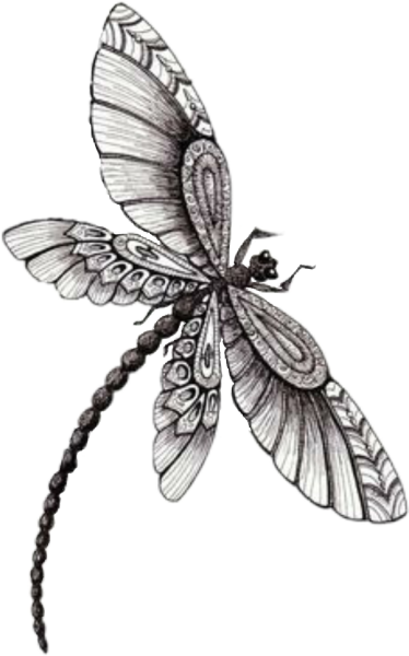 Стрекоза рисунок для детей карандашом