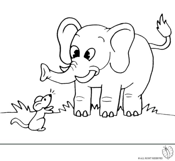 Рисование слон контур средняя группа