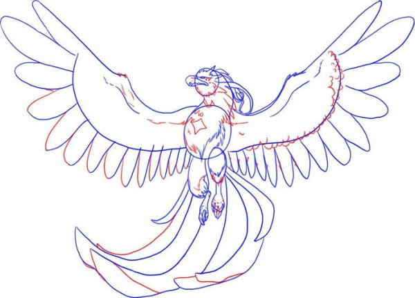 Павлин карандашом