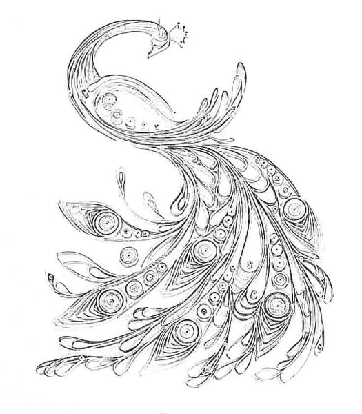 Жар птица раскраска