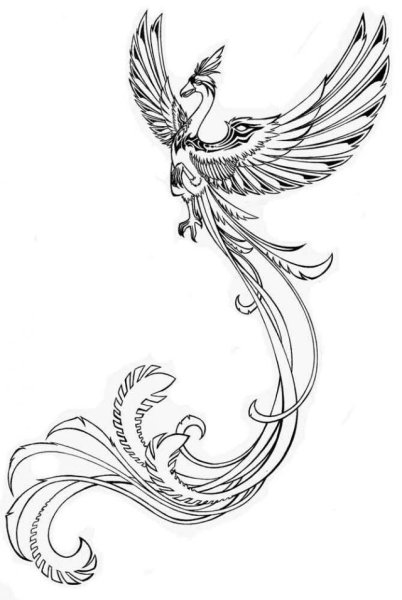 Трафарет павлина для рисования