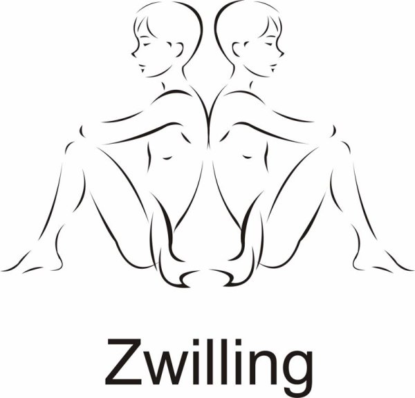 Близнецы знак