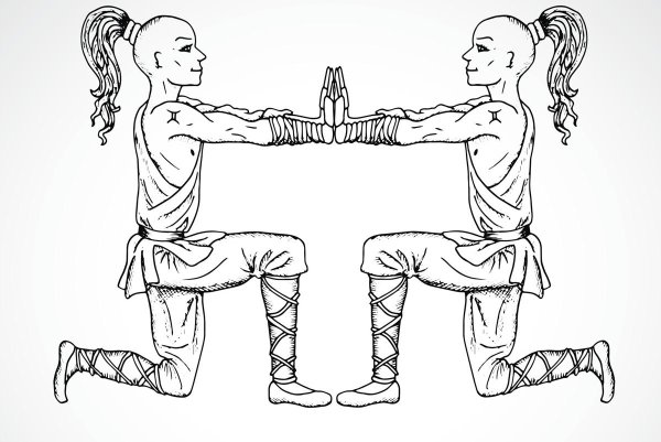 Близнецы знак зодиака рисунок