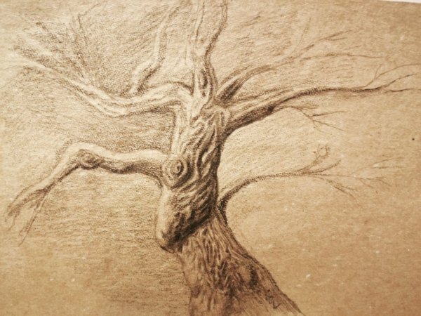 Рисунок карандашом на картонной бумаге