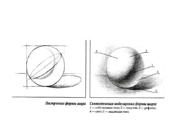 Шар Графика карандаш