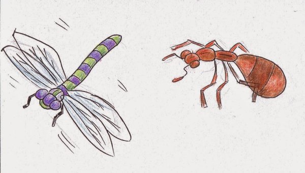 Бабочка и муравей рисунок