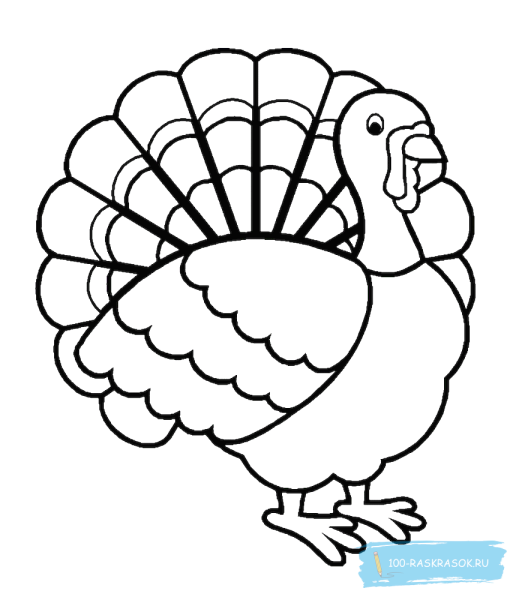 Turkey индюк for Kids