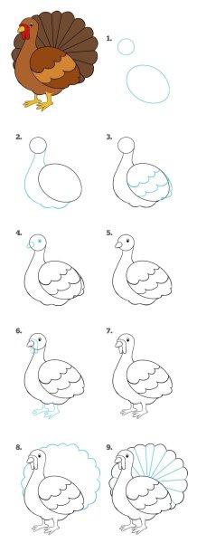 Как нарисовать индюка для детей поэтапно