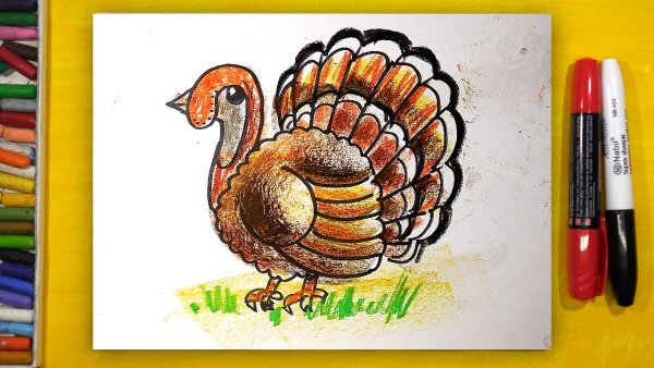 Индюк карандашом