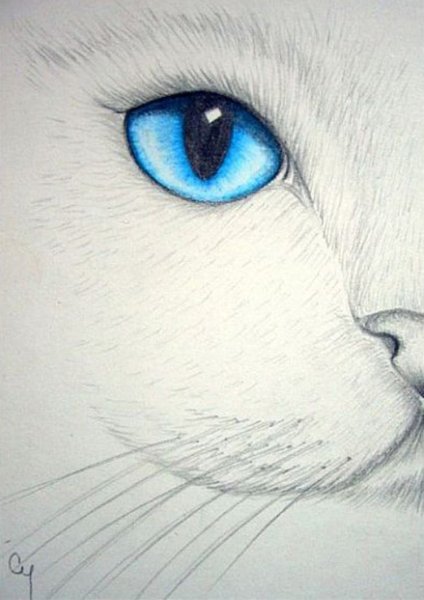 Когачий глаза карандашом
