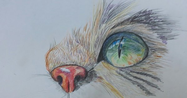 Глаза кота рисунок