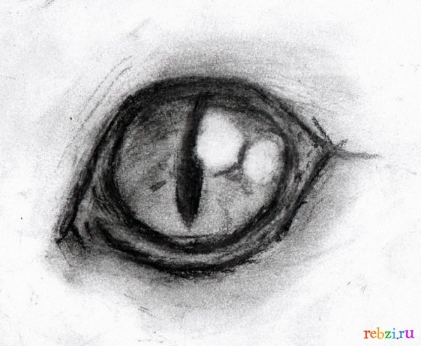 Кошачий глаз карандашом