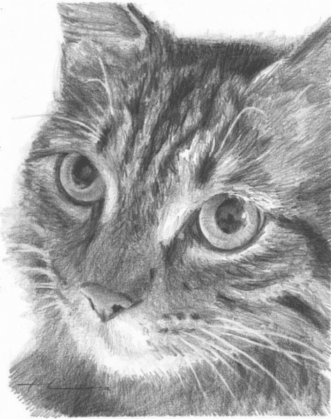 Кошачий глаз карандашом