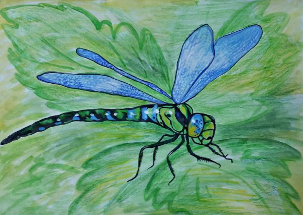 Стрекоза карандашом