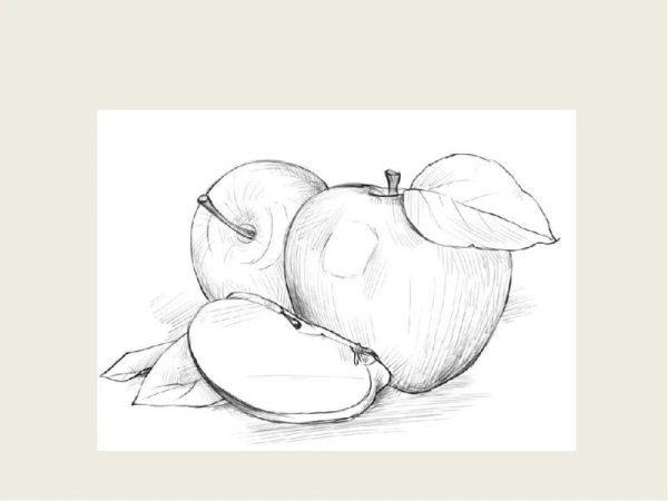 Рисование натюрморта пошагово