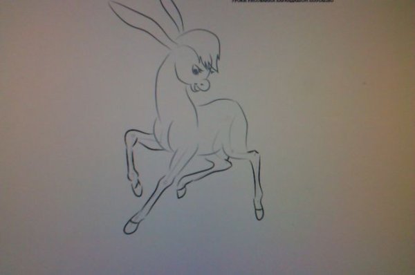 Рисование корка горбкнка