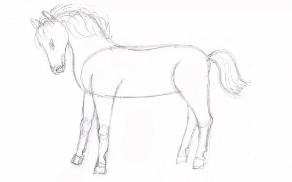 Лошадь карандашом для детей