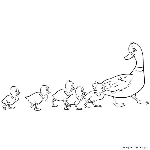 Пришвин ребята и утята раскраска к рассказу