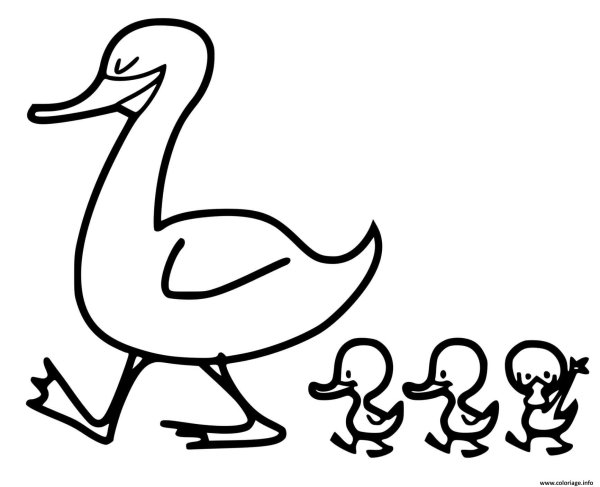 Раскраска утки и утята