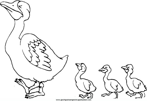 Утка с утятами раскраска