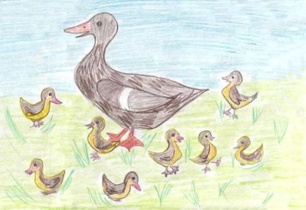 Ребята и утята пришвин рисунок