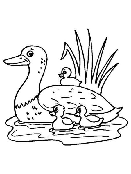 Утка с утятами раскраска
