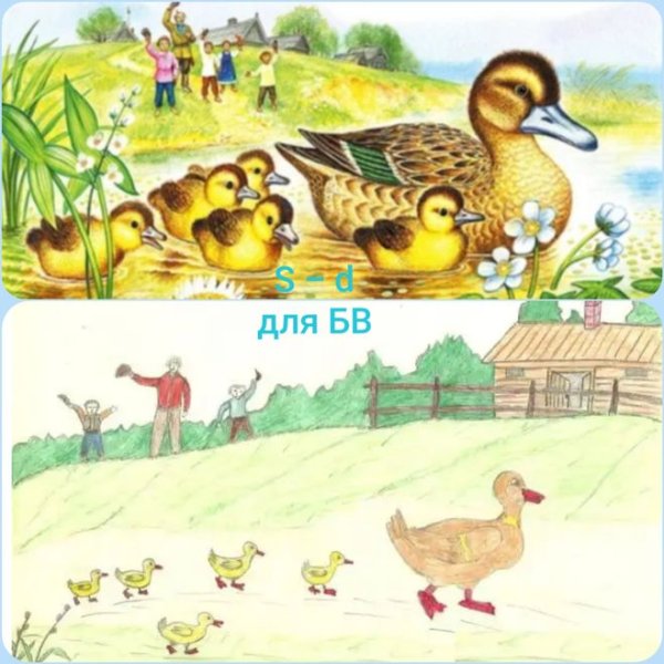 Иллюстрации к рассказу ребята и утята Пришвина