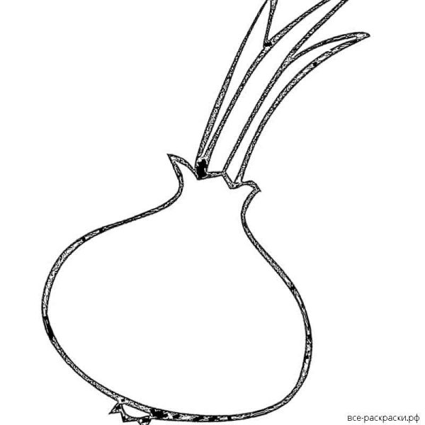 Лук рисунок