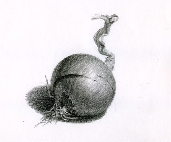 Фрукты и овощи карандашом со штриховкой