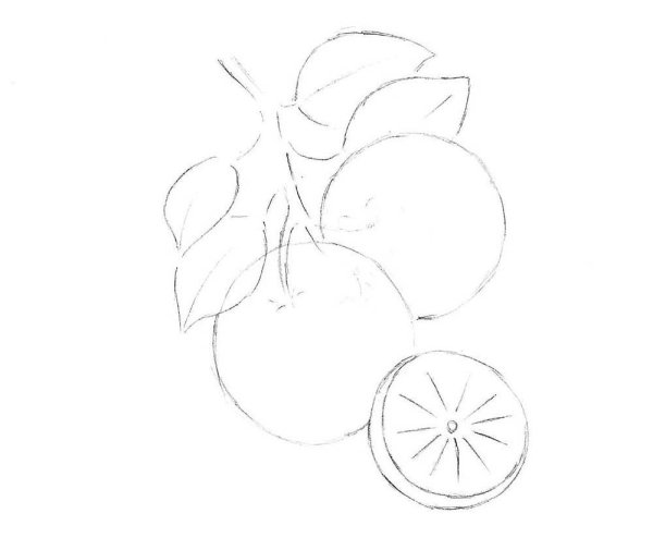 Поэтапное рисование апельсина