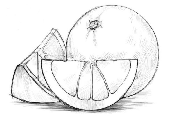 Апельсин рисунок для детей карандашом