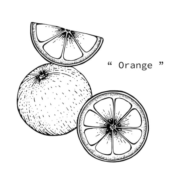 Апельсин раскраска