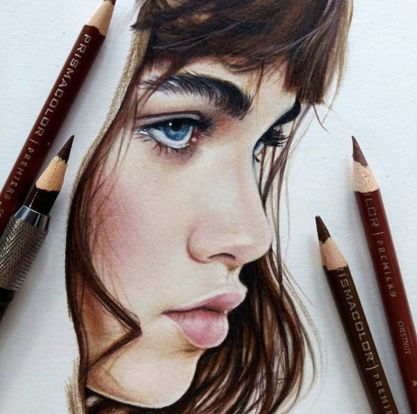 Собака цветными карандашами