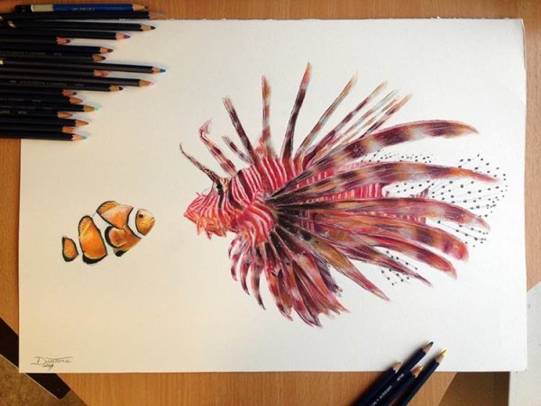 Живопись цветными карандашами