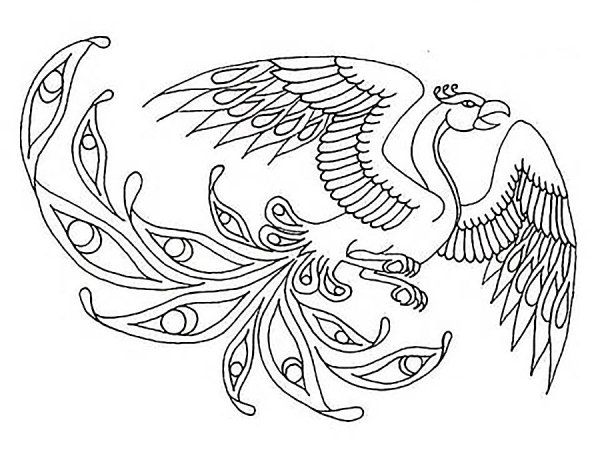 Жар птица раскраска для детей