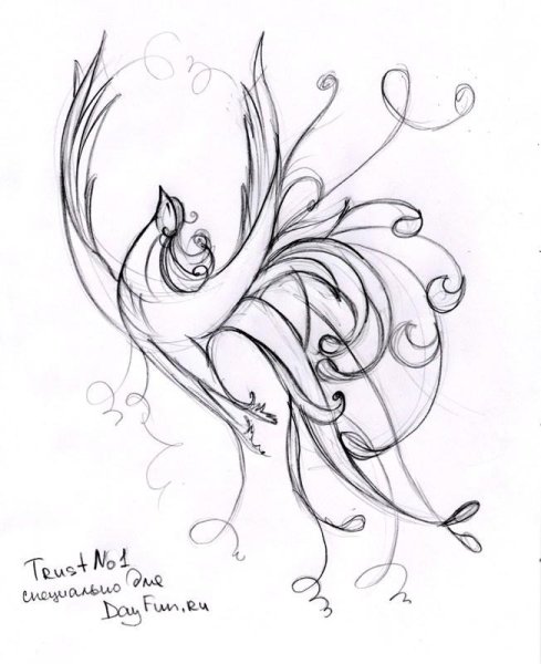 Феникс раскраска