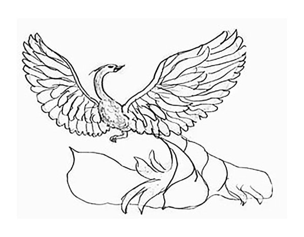 Рисование Сказочная птица
