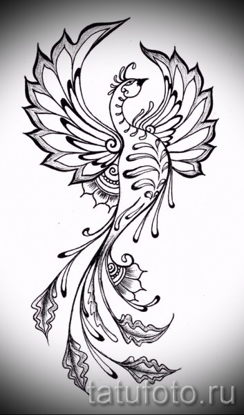 Жар птица раскраска