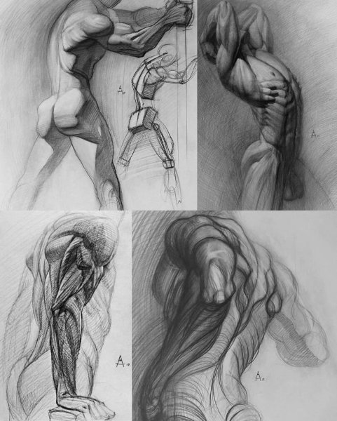 Женское тело карандашом