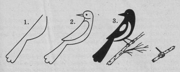 Рисование сорока белобока в подготовительной группе